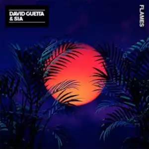Instrumental: David Guetta - Flames ft. Sia (Produced By Marcus van Wattum, Giorgio Tuinfort & David Guetta)